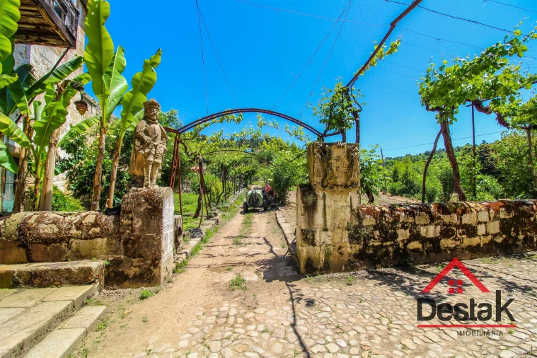 Quinta T6 para Venda em Salzedas Foto 4