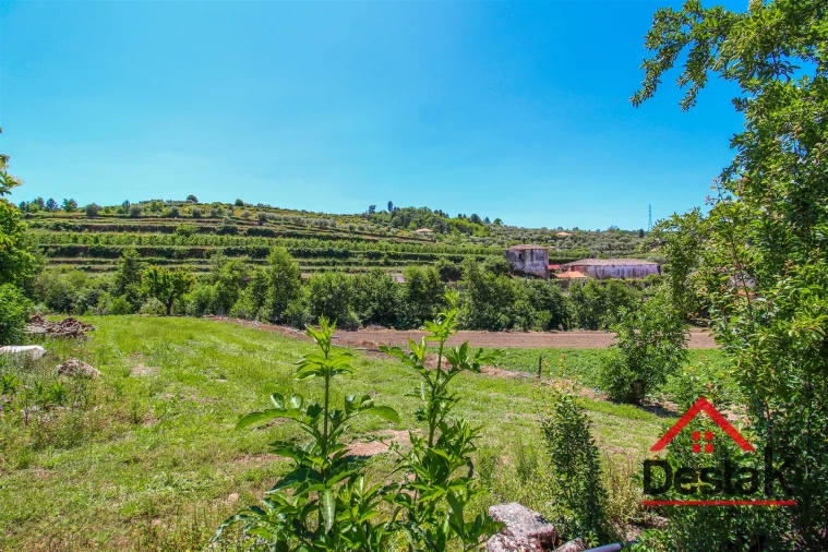 Quinta T6 para Venda em Salzedas Foto 12