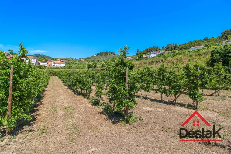 Quinta T6 para Venda em Salzedas Foto 57