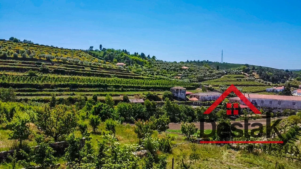 Quinta T6 para Venda em Salzedas Foto 68