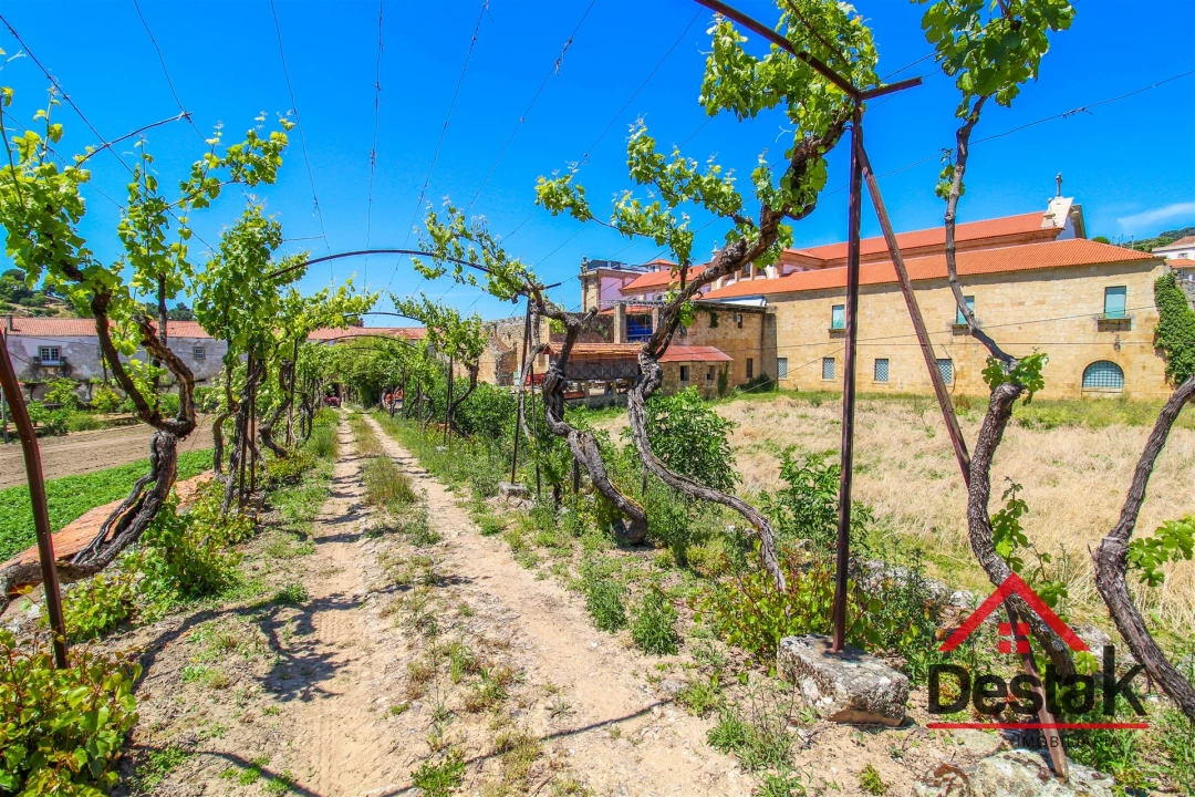 Quinta T6 para Venda em Salzedas Foto 11