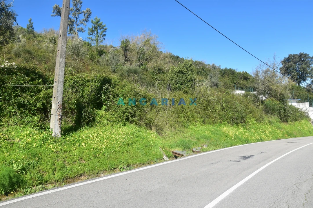 Terreno para Venda em Santa Clara e Castelo Viegas Foto 3