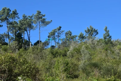 Terreno para Venda em Santa Clara e Castelo Viegas