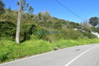 Terreno para Venda em Santa Clara e Castelo Viegas