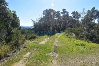 Terreno para Venda em Santa Clara e Castelo Viegas