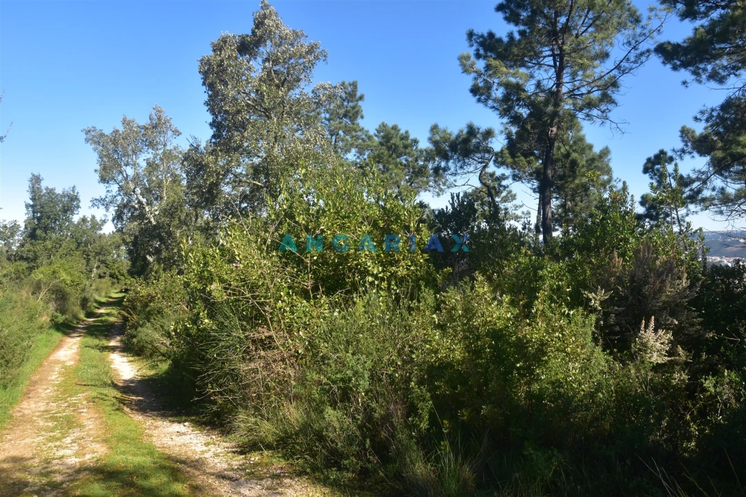 Terreno para Venda em Santa Clara e Castelo Viegas Foto 9