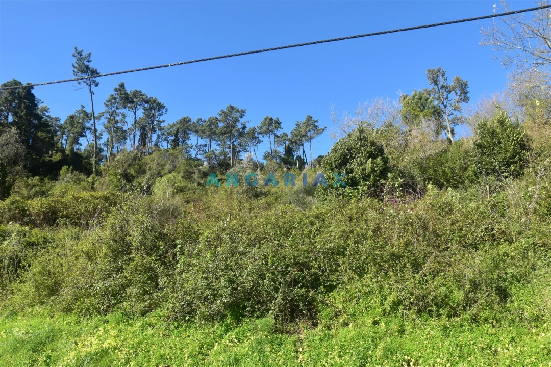 Terreno para Venda em Santa Clara e Castelo Viegas Foto 5