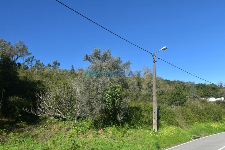 Terreno para Venda em Santa Clara e Castelo Viegas Foto 4