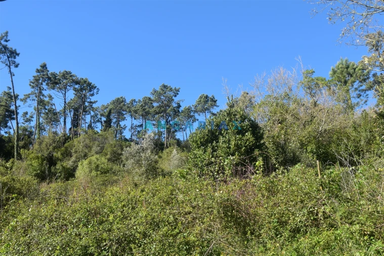 Terreno para Venda em Santa Clara e Castelo Viegas Foto 6