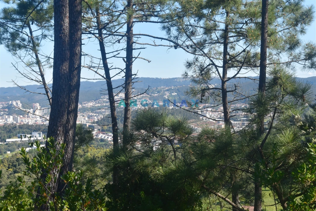 Terreno para Venda em Santa Clara e Castelo Viegas Foto 11