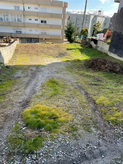 Terreno para Venda em Campo e Sobrado