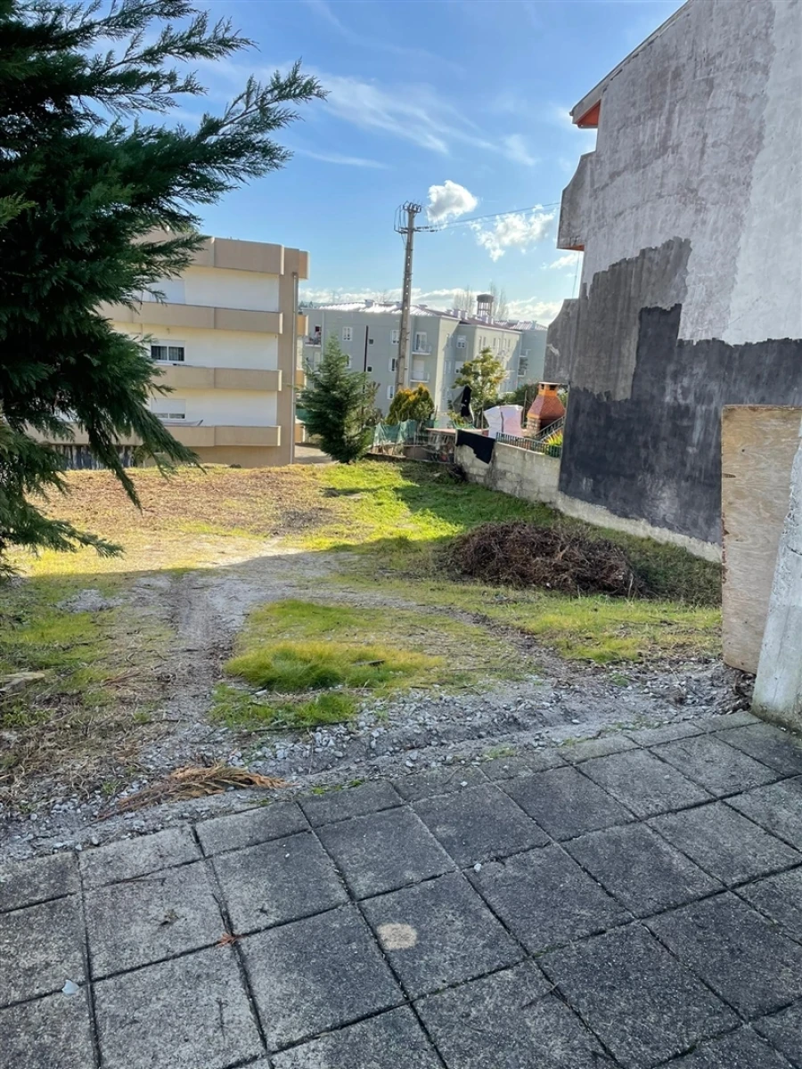 Terreno para Venda em Campo e Sobrado Foto 9