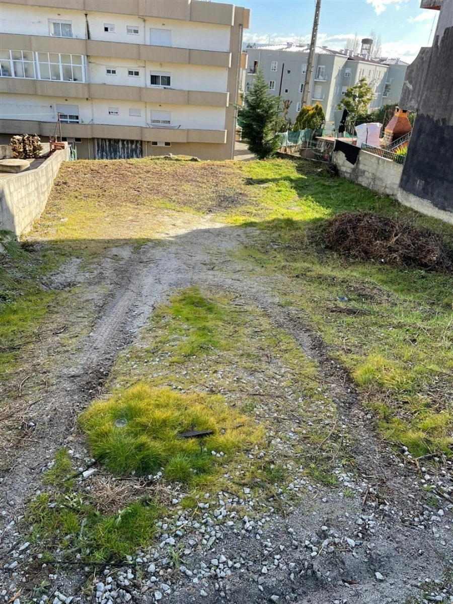 Terreno para Venda em Campo e Sobrado Foto 7