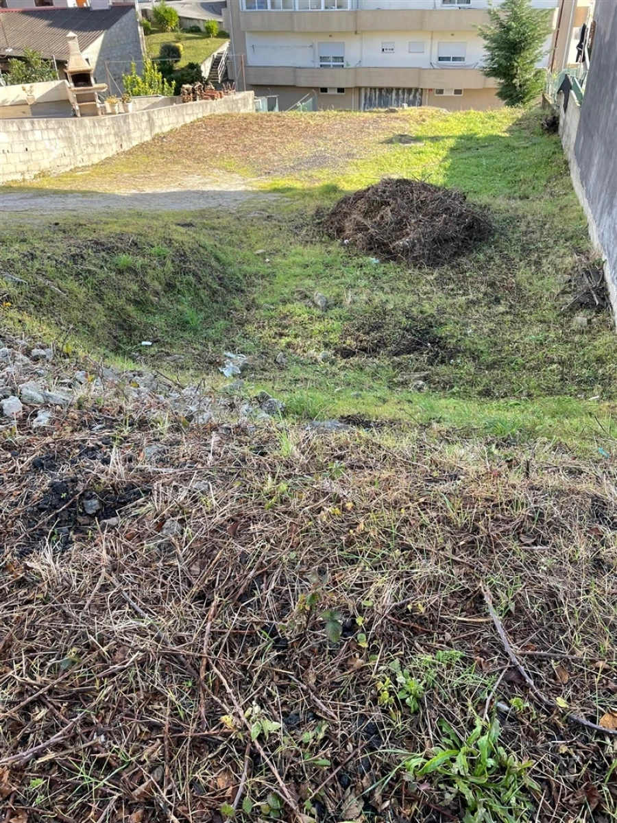 Terreno para Venda em Campo e Sobrado Foto 10