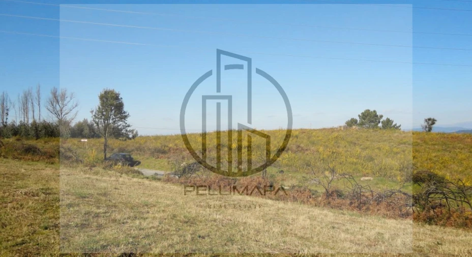 Terreno para Venda em Povoa de Lanhoso (N. Senhora do Amparo) Foto 3