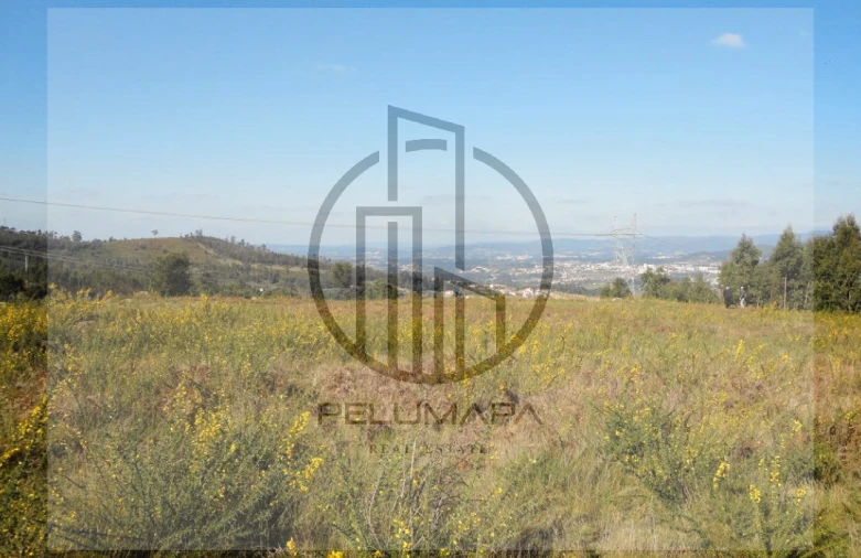 Terreno para Venda em Povoa de Lanhoso (N. Senhora do Amparo) Foto 4