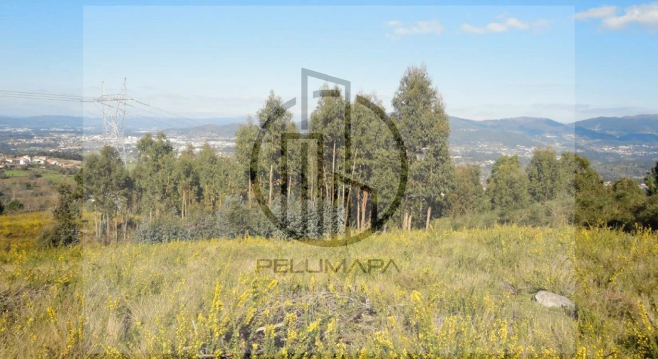 Terreno para Venda em Povoa de Lanhoso (N. Senhora do Amparo) Foto 6