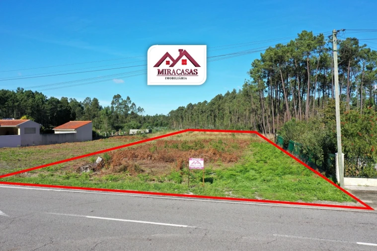 Terreno para Venda em Fonte de Angeão e Covão do Lobo Foto 4