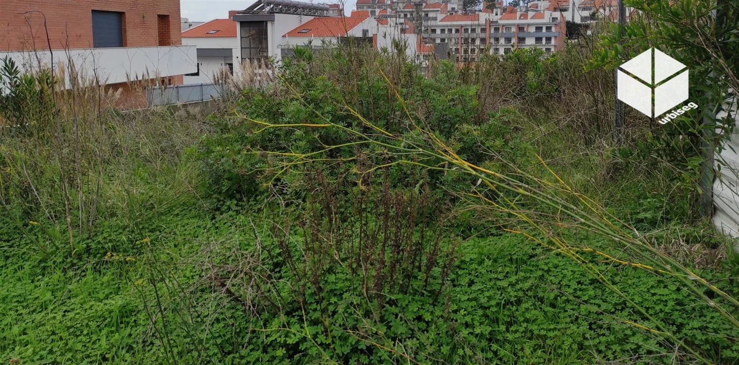 Terreno para Venda em Tavarede Foto 1