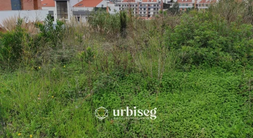Terreno para Venda em Tavarede