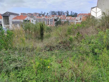 Terreno para Venda em Tavarede