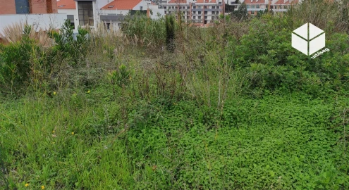 Terreno para Venda em Tavarede