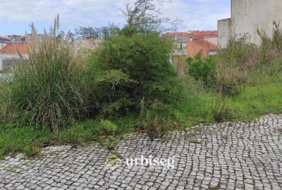 Terreno para Venda em Tavarede