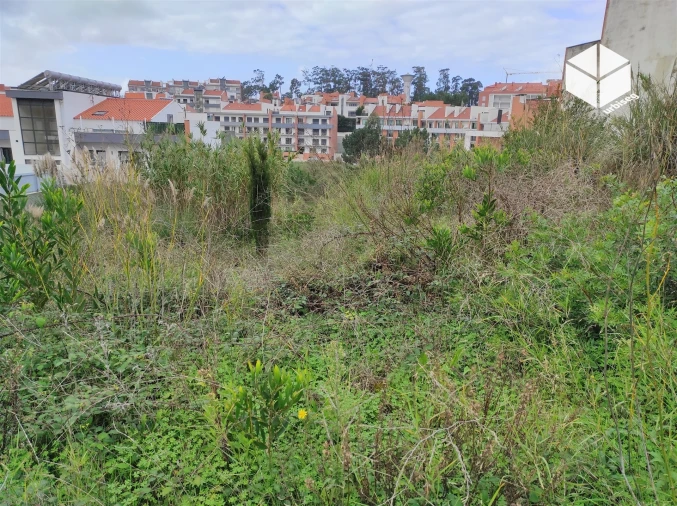 Terreno para Venda em Tavarede Foto 4