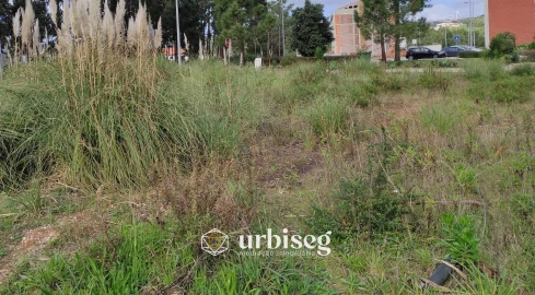 Terreno para Venda em Tavarede