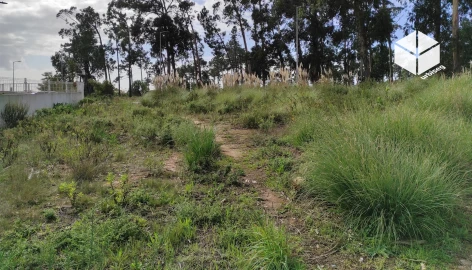 Terreno para Venda em Tavarede