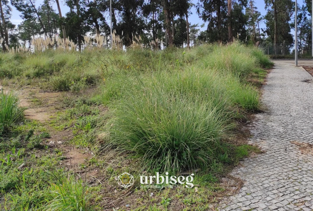 Terreno para Venda em Tavarede Foto 7