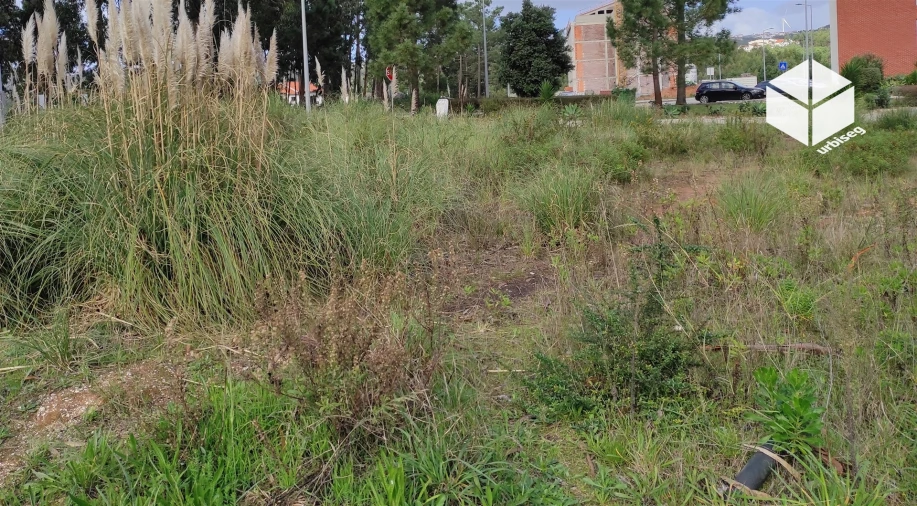 Terreno para Venda em Tavarede Foto 5