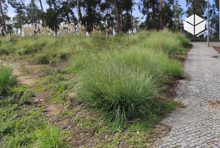 Terreno para Venda em Tavarede Foto 3