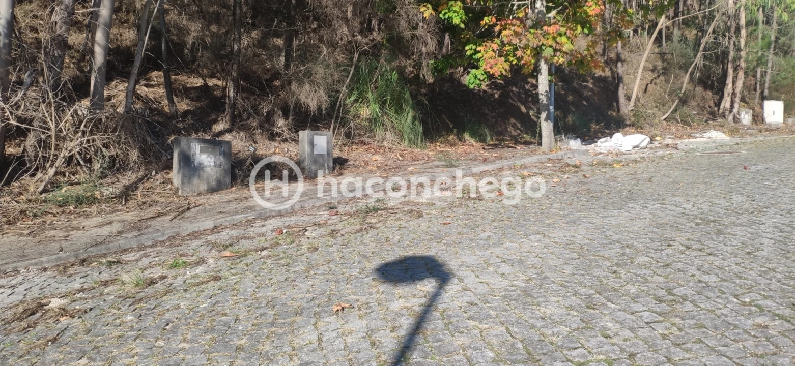 Terreno para Venda em Tamel (Santa Leocádia) e Vilar do Monte Foto 5