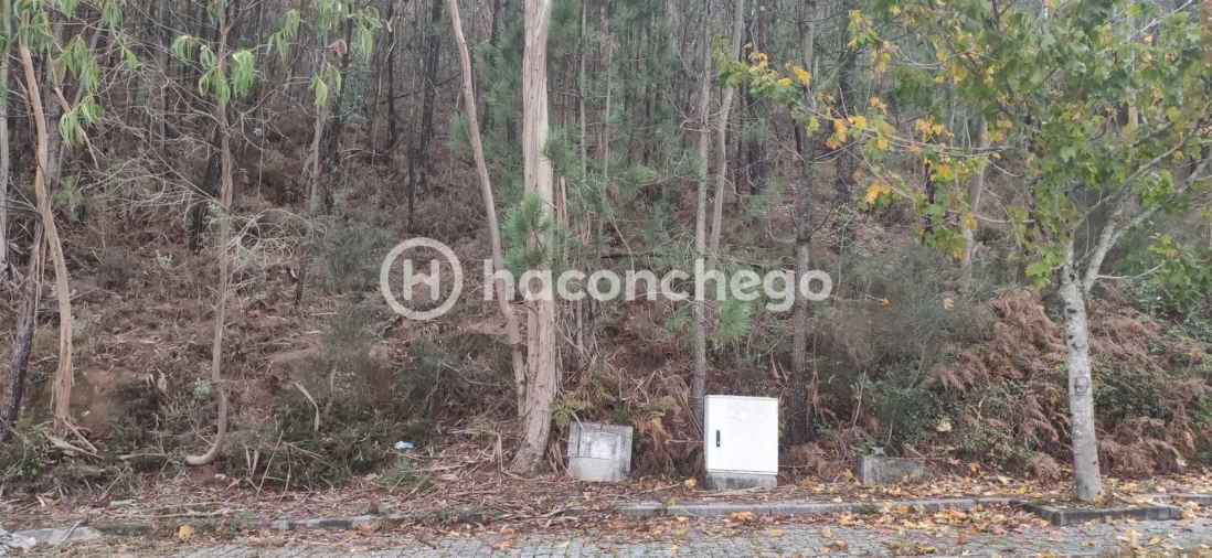 Terreno para Venda em Tamel (Santa Leocádia) e Vilar do Monte Foto 3
