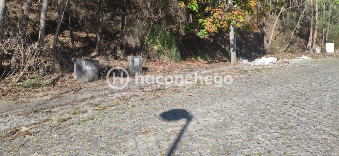 Terreno para Venda em Tamel (Santa Leocádia) e Vilar do Monte Foto 5