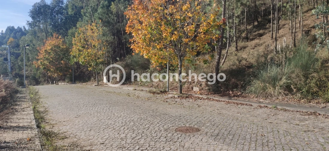 Terreno para Venda em Tamel (Santa Leocádia) e Vilar do Monte Foto 1
