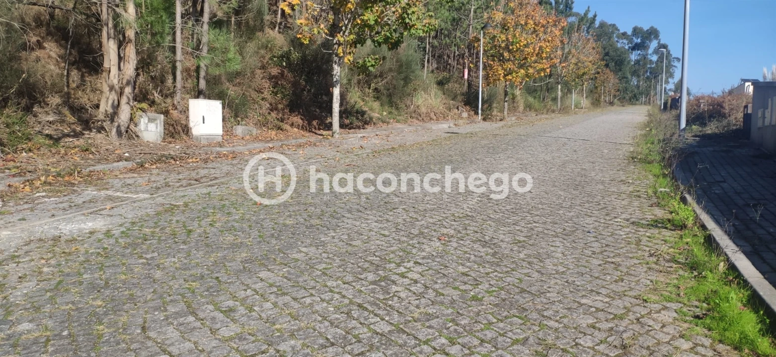 Terreno para Venda em Tamel (Santa Leocádia) e Vilar do Monte Foto 8