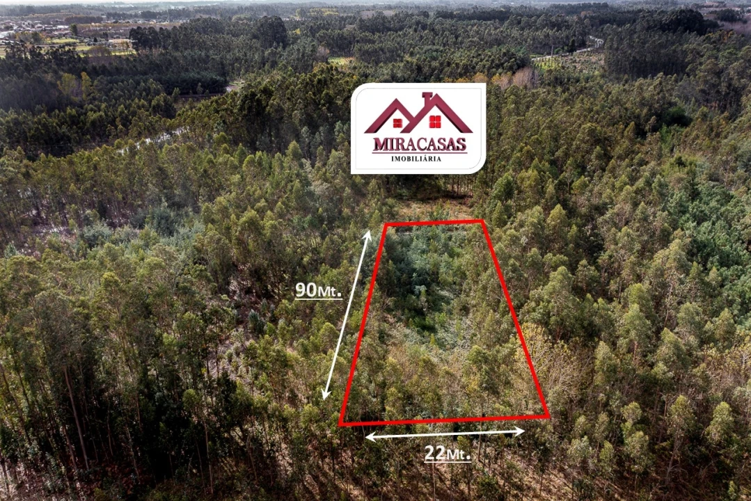 Terreno Agricola ou Rústico para Venda em Covões e Camarneira Foto 2