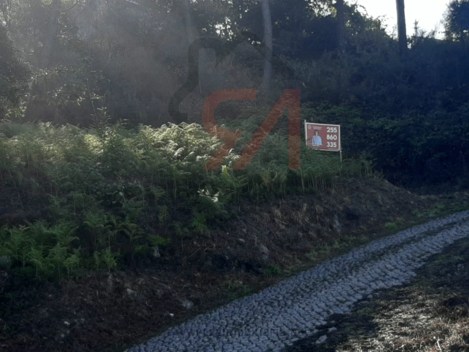 Terreno para Venda em Lustosa e Barrosas (Santo Estêvão) Foto 6