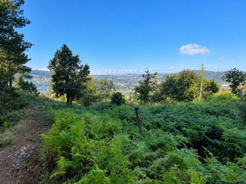 Terreno para Venda em Lustosa e Barrosas (Santo Estêvão)