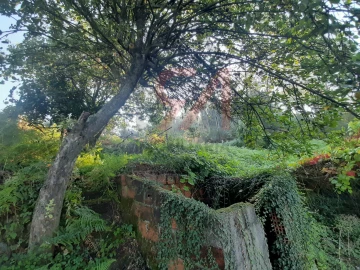 Terreno para Venda em Lustosa e Barrosas (Santo Estêvão)