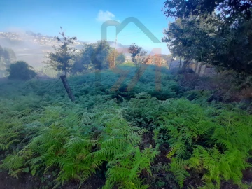 Terreno para Venda em Lustosa e Barrosas (Santo Estêvão)