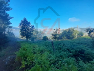 Terreno para Venda em Lustosa e Barrosas (Santo Estêvão)