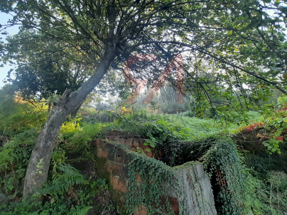 Terreno para Venda em Lustosa e Barrosas (Santo Estêvão) Foto 5