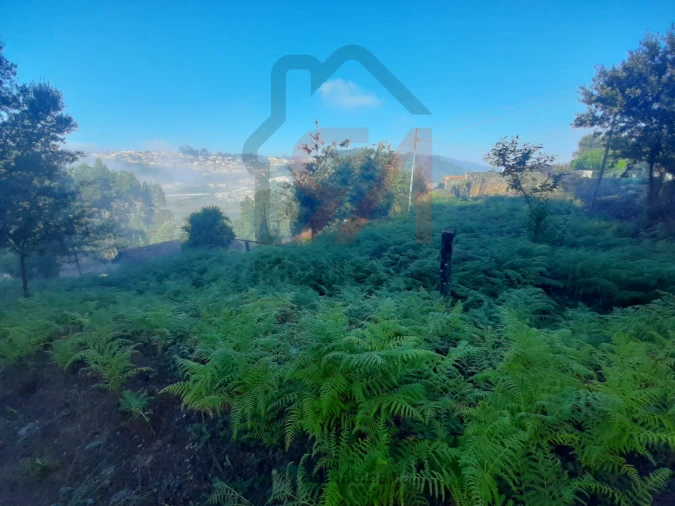 Terreno para Venda em Lustosa e Barrosas (Santo Estêvão) Foto 3