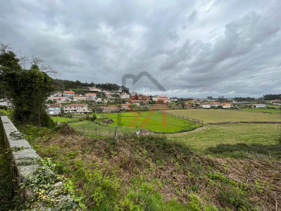 Quinta T0 para Venda em Sanfins Lamoso Codessos Foto 3