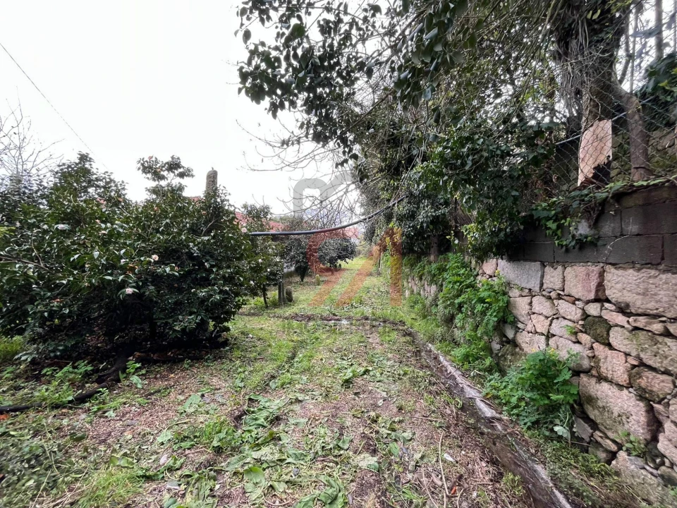 Quinta T0 para Venda em Sanfins Lamoso Codessos Foto 14