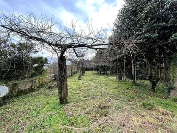Quinta T0 para Venda em Sanfins Lamoso Codessos
