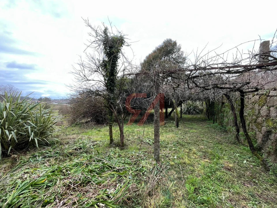 Quinta T0 para Venda em Sanfins Lamoso Codessos Foto 4